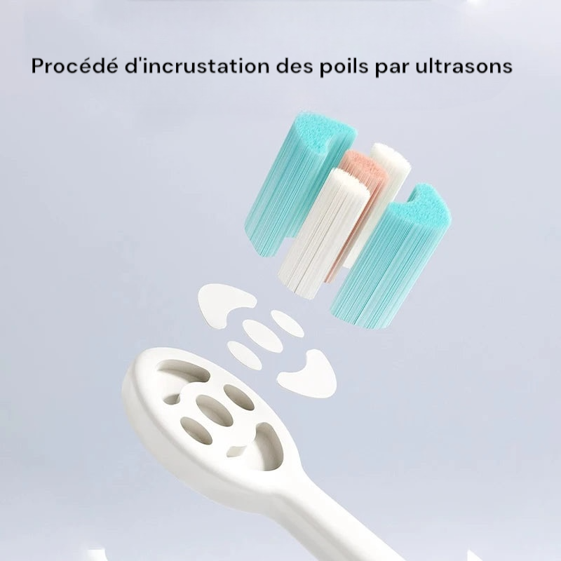 Brosse à dents animaux