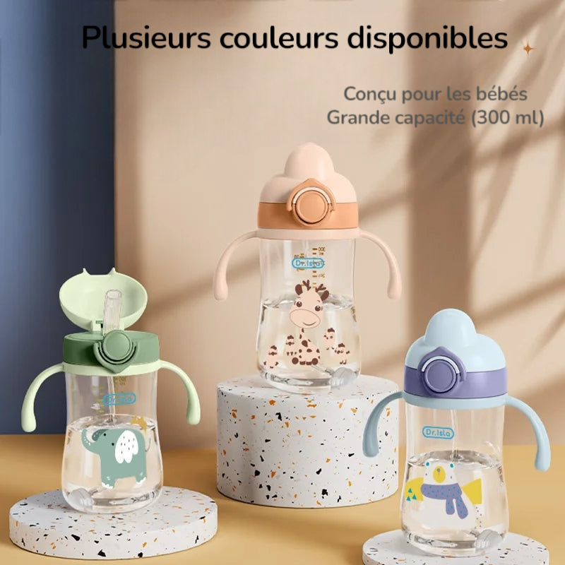 Bouteilles d'eau portables 300 ml