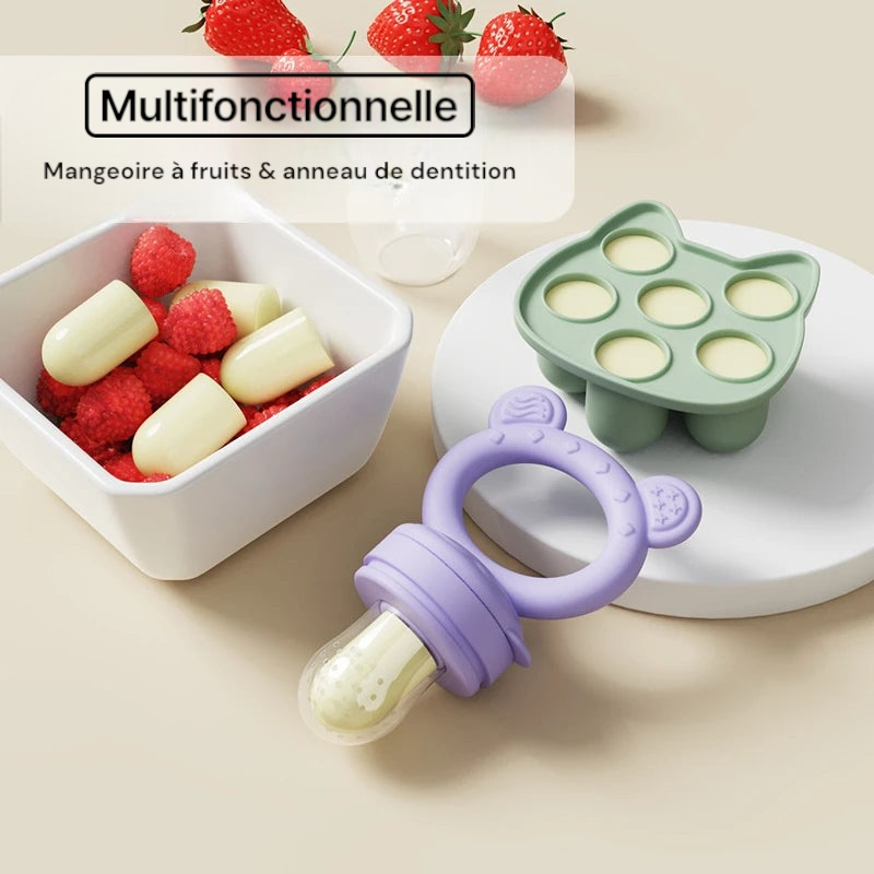 Grignoteuse à fruits pour bébé et Mini plateau de congélateur avec couvercle