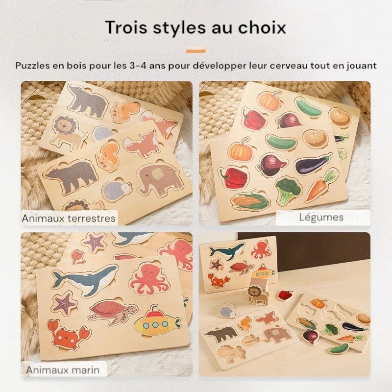 Puzzle 3D en bois, jouets cognitifs Montessori