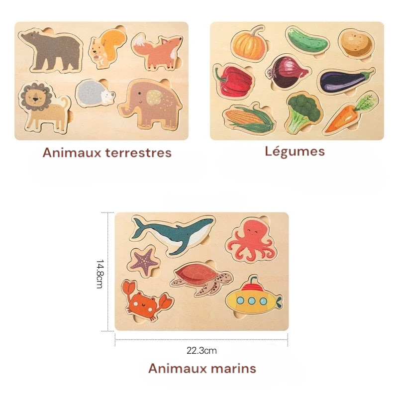 Puzzle 3D en bois, jouets cognitifs Montessori