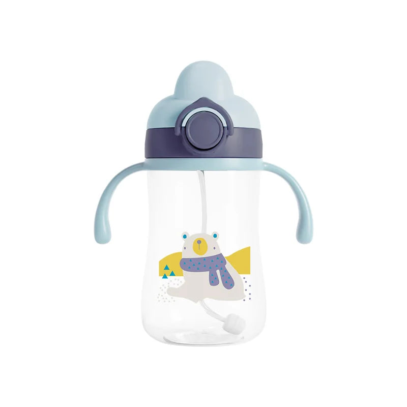 Bouteilles d'eau portables 300 ml